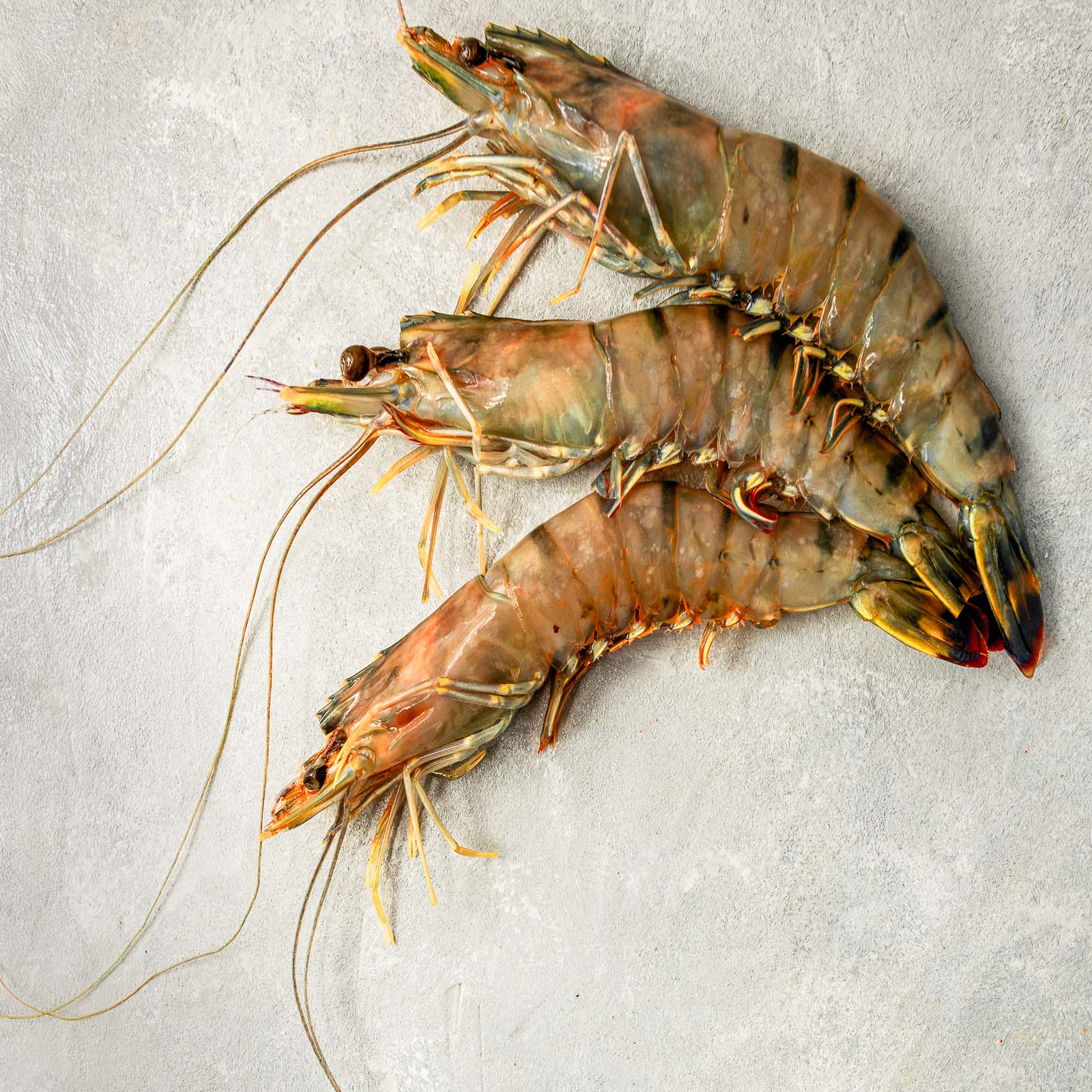Fresh Prawns